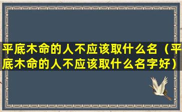 平底木命的人不应该取什么名（平底木命的人不应该取什么名字好）