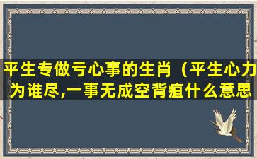 平生专做亏心事的生肖（平生心力为谁尽,一事无成空背疽什么意思）