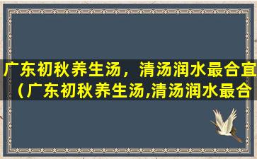 广东初秋养生汤，清汤润水最合宜（广东初秋养生汤,清汤润水最合宜）