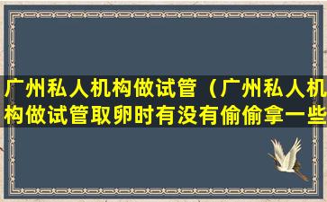 广州私人机构做试管（广州私人机构做试管取卵时有没有偷偷拿一些出来存）