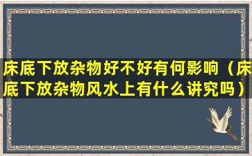 床底下放杂物好不好有何影响（床底下放杂物风水上有什么讲究吗）