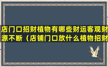 店门口招财植物有哪些财运客观财源不断（店铺门口放什么植物招财,改风水）