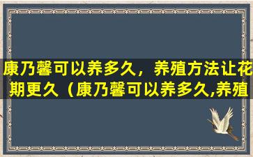 康乃馨可以养多久，养殖方法让花期更久（康乃馨可以养多久,养殖方法让花期更久一些）