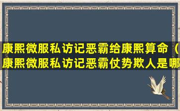 康熙微服私访记恶霸给康熙算命（康熙微服私访记恶霸仗势欺人是哪一集）