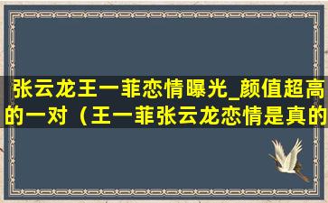 张云龙王一菲恋情曝光_颜值超高的一对（王一菲张云龙恋情是真的吗）