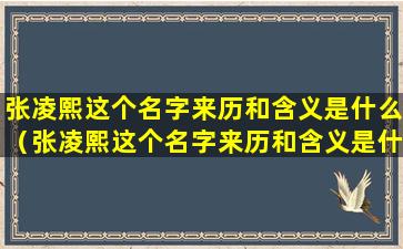 张凌熙这个名字来历和含义是什么（张凌熙这个名字来历和含义是什么意思）