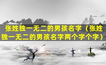 张姓独一无二的男孩名字（张姓独一无二的男孩名字两个字个字）