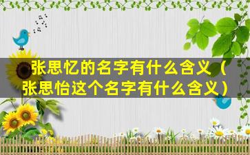 张思忆的名字有什么含义（张思怡这个名字有什么含义）