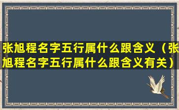 张旭程名字五行属什么跟含义（张旭程名字五行属什么跟含义有关）