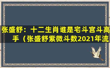 张盛舒：十二生肖谁是宅斗宫斗高手（张盛舒紫微斗数2021年流年运势官网）