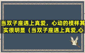 当双子座遇上真爱，心动的模样其实很明显（当双子座遇上真爱,心动的模样其实很明显）