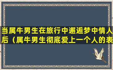 当属牛男生在旅行中邂逅梦中情人后（属牛男生彻底爱上一个人的表现）