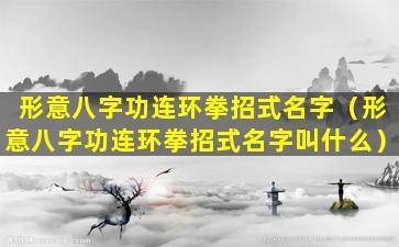 形意八字功连环拳招式名字（形意八字功连环拳招式名字叫什么）