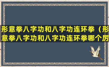 形意拳八字功和八字功连环拳（形意拳八字功和八字功连环拳哪个厉害）