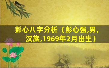 彭心八字分析（彭心强,男,汉族,1969年2月出生）