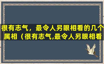 很有志气，最令人另眼相看的几个属相（很有志气,最令人另眼相看的几个属相是什么）