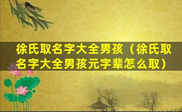 徐氏取名字大全男孩（徐氏取名字大全男孩元字辈怎么取）