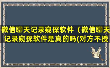 微信聊天记录窥探软件（微信聊天记录窥探软件是真的吗(对方不授权如何定位)）