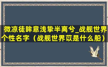 微凉徒眸意浅挚半离兮_战舰世界个性名字（战舰世界苡是什么船）