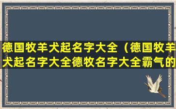 德国牧羊犬起名字大全（德国牧羊犬起名字大全德牧名字大全霸气的）