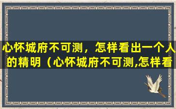 心怀城府不可测，怎样看出一个人的精明（心怀城府不可测,怎样看出一个人的精明呢）