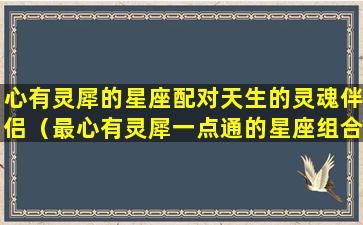 心有灵犀的星座配对天生的灵魂伴侣（最心有灵犀一点通的星座组合）