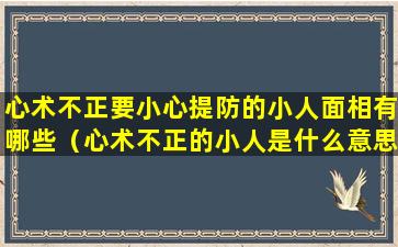 心术不正要小心提防的小人面相有哪些（心术不正的小人是什么意思）