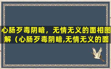 心肠歹毒阴暗，无情无义的面相图解（心肠歹毒阴暗,无情无义的面相图解）