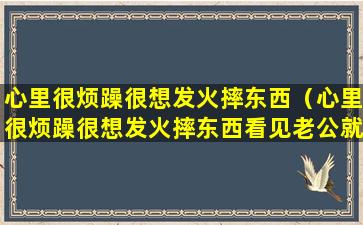 心里很烦躁很想发火摔东西（心里很烦躁很想发火摔东西看见老公就烦）