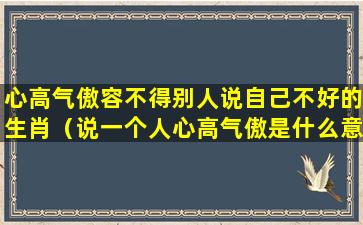 心高气傲容不得别人说自己不好的生肖（说一个人心高气傲是什么意思）