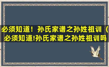 必须知道！孙氏家谱之孙姓祖训（必须知道!孙氏家谱之孙姓祖训吗）