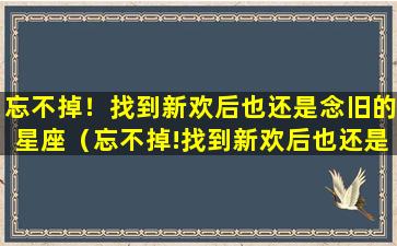 忘不掉！找到新欢后也还是念旧的星座（忘不掉!找到新欢后也还是念旧的星座）