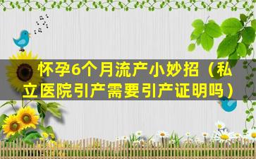 怀孕6个月流产小妙招（私立医院引产需要引产证明吗）