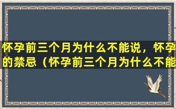 怀孕前三个月为什么不能说，怀孕的禁忌（怀孕前三个月为什么不能说,怀孕的禁忌）