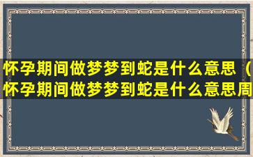 怀孕期间做梦梦到蛇是什么意思（怀孕期间做梦梦到蛇是什么意思周公解梦）