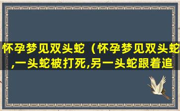 怀孕梦见双头蛇（怀孕梦见双头蛇,一头蛇被打死,另一头蛇跟着追）