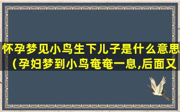 怀孕梦见小鸟生下儿子是什么意思（孕妇梦到小鸟奄奄一息,后面又活过来了）