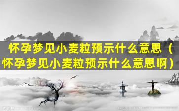 怀孕梦见小麦粒预示什么意思（怀孕梦见小麦粒预示什么意思啊）