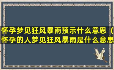 怀孕梦见狂风暴雨预示什么意思（怀孕的人梦见狂风暴雨是什么意思）