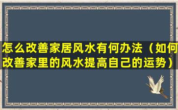 怎么改善家居风水有何办法（如何改善家里的风水提高自己的运势）