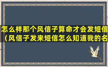 怎么样那个风信子算命才会发短信（风信子发来短信怎么知道我的名字）