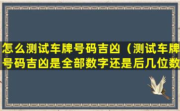 怎么测试车牌号码吉凶（测试车牌号码吉凶是全部数字还是后几位数）