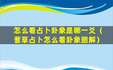 怎么看占卜卦象是哪一爻（蓍草占卜怎么看卦象图解）