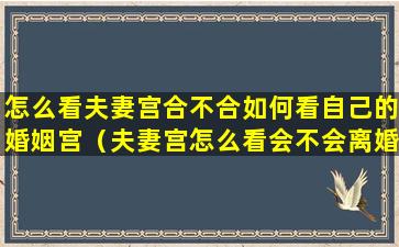 怎么看夫妻宫合不合如何看自己的婚姻宫（夫妻宫怎么看会不会离婚）