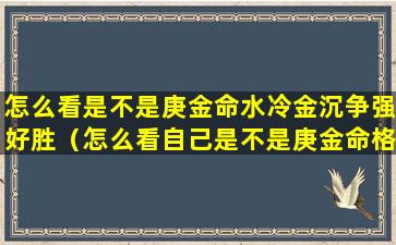 怎么看是不是庚金命水冷金沉争强好胜（怎么看自己是不是庚金命格）