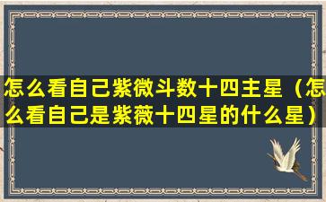 怎么看自己紫微斗数十四主星（怎么看自己是紫薇十四星的什么星）