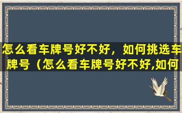 怎么看车牌号好不好，如何挑选车牌号（怎么看车牌号好不好,如何挑选车牌号码）