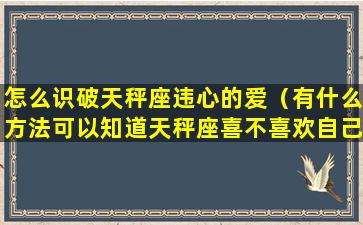 怎么识破天秤座违心的爱（有什么方法可以知道天秤座喜不喜欢自己）