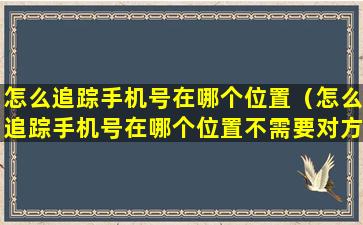 怎么追踪手机号在哪个位置（怎么追踪手机号在哪个位置不需要对方同意）