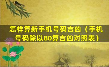 怎样算新手机号码吉凶（手机号码除以80算吉凶对照表）